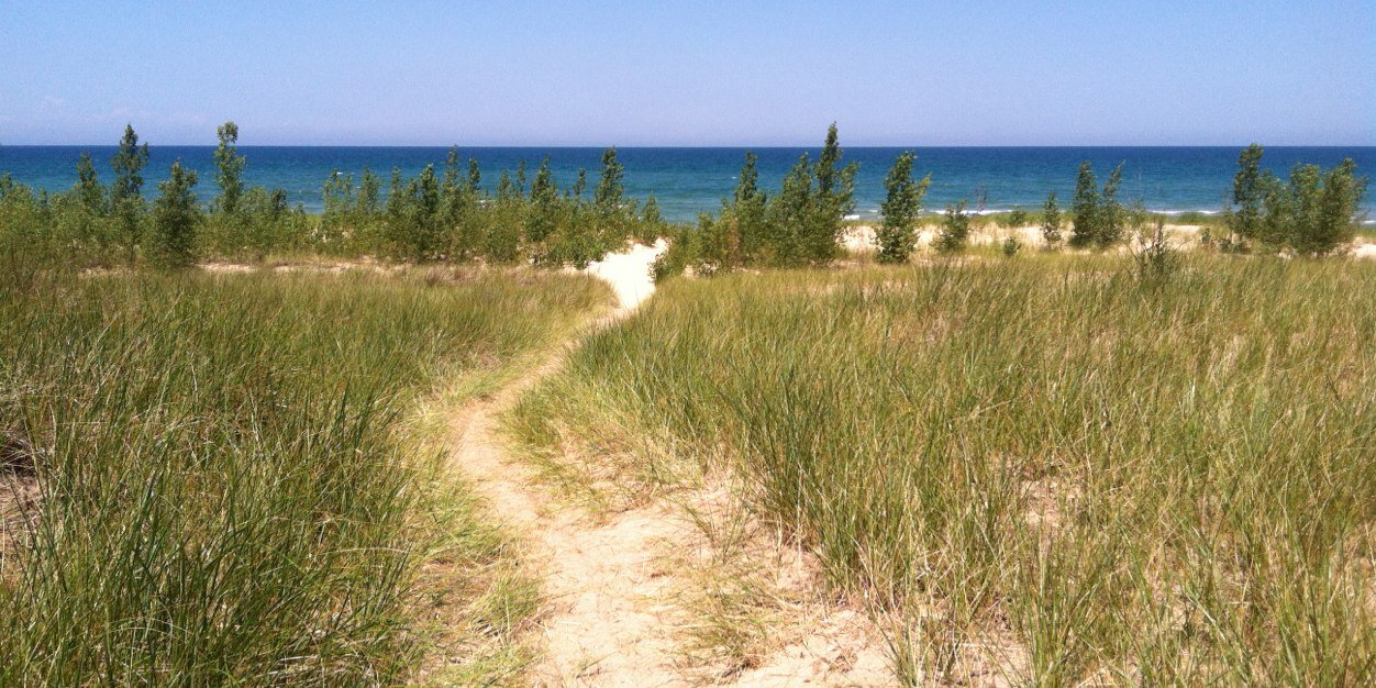 WellWithWehrm's profile banner image
