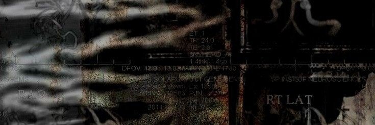 pvtr3fact0's profile banner image