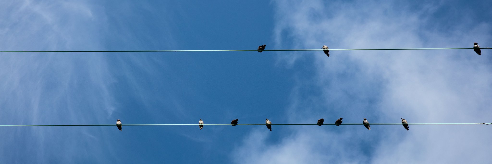 Bryan Keane OLY banner