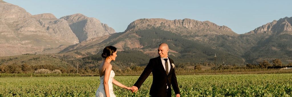 WPGROENER's profile banner image
