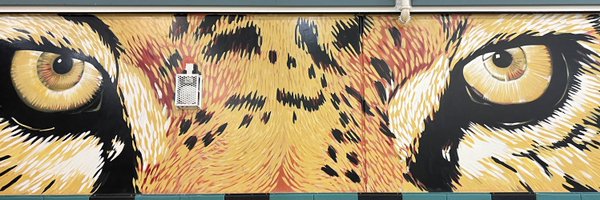 Coralgladesfb Profile Banner