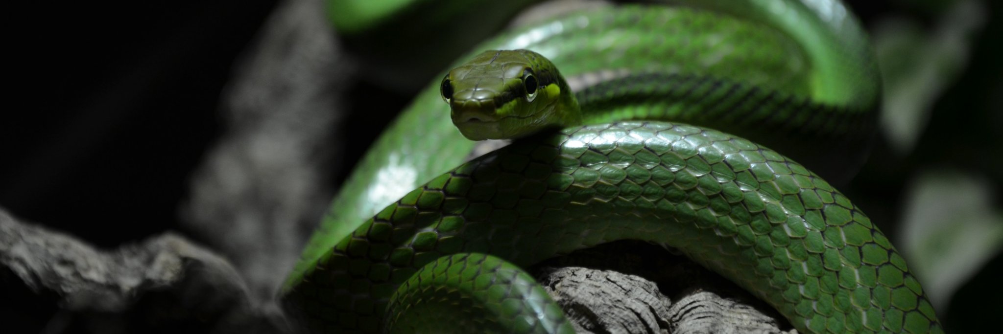 Mohamed S. Sarhan (Sabry) banner