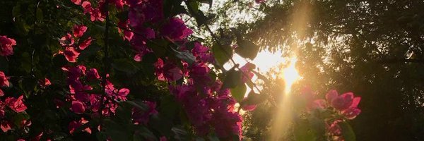 r_ay_zz Profile Banner