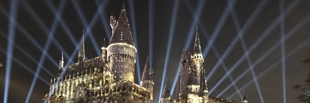 erinslibrary's profile banner image