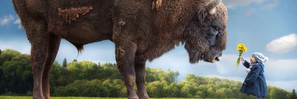 MEGA banner
