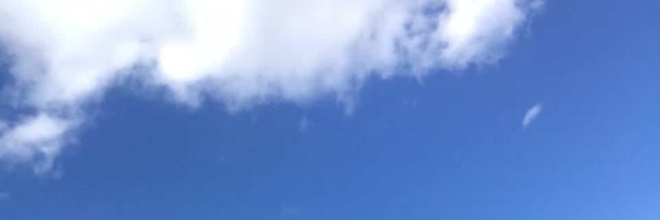pilibritoss's profile banner image