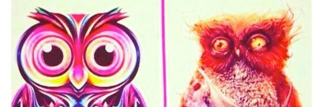 CryptoBitch01's profile banner image