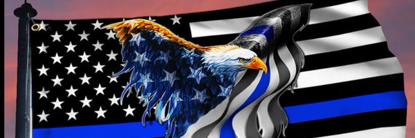 LightsGreenGo Profile Banner