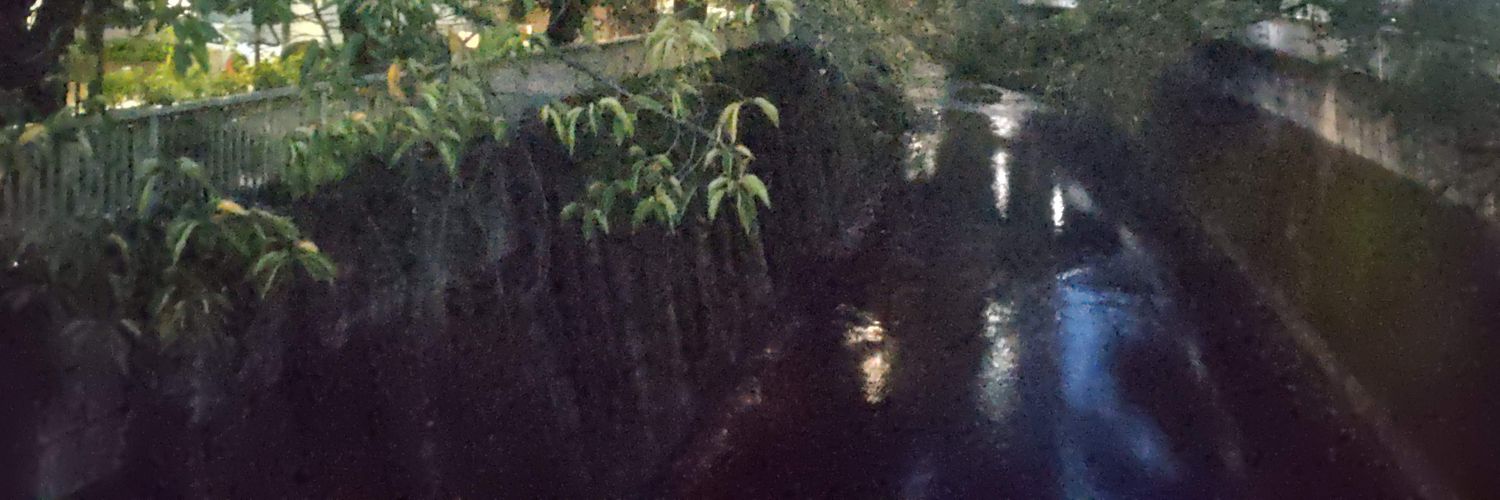 まめお banner