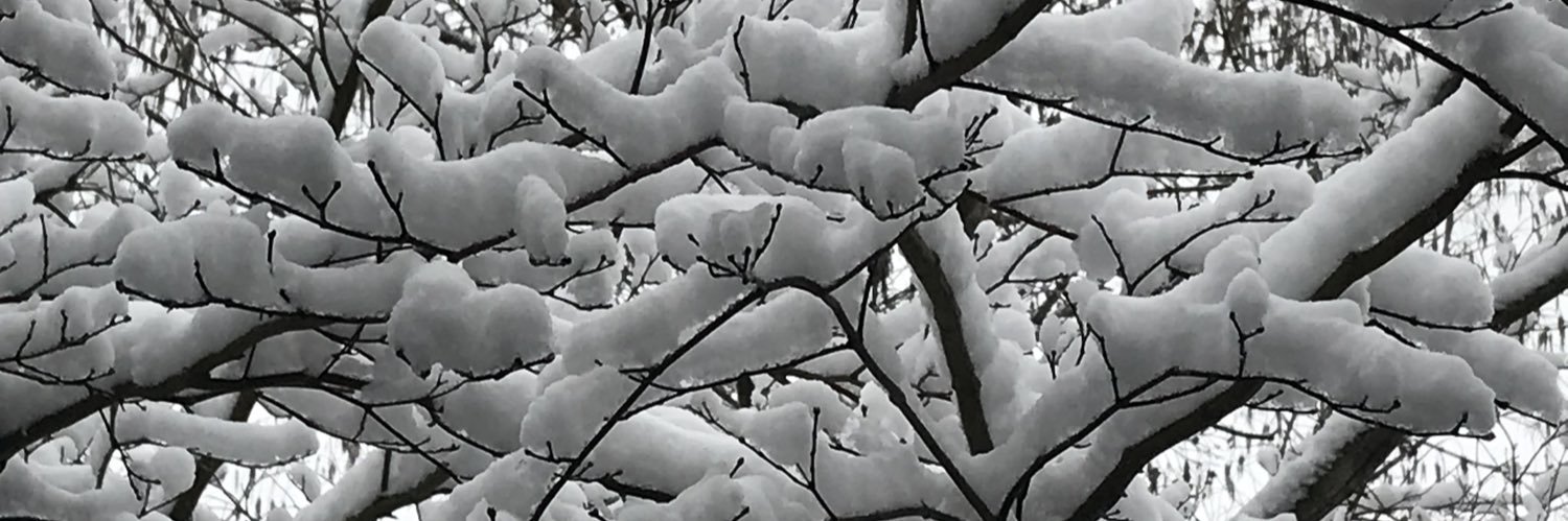 FoxCmh's profile banner image