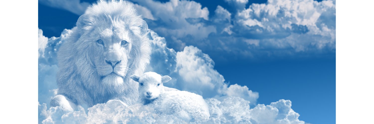 drogosky's profile banner image