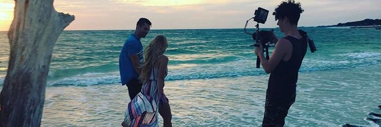 AlexJuneBugs's profile banner image