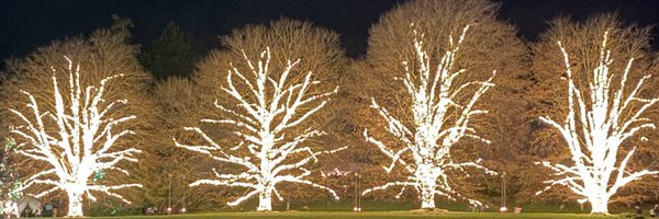 MrFrankLHS Profile Banner