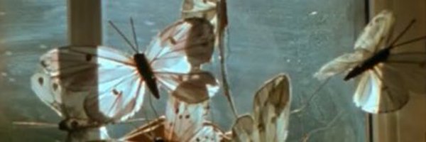 mesabemaal Profile Banner