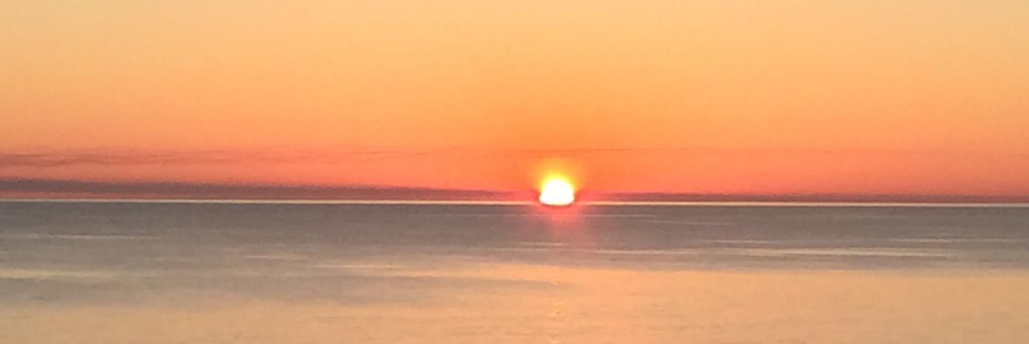 pap0418's profile banner image