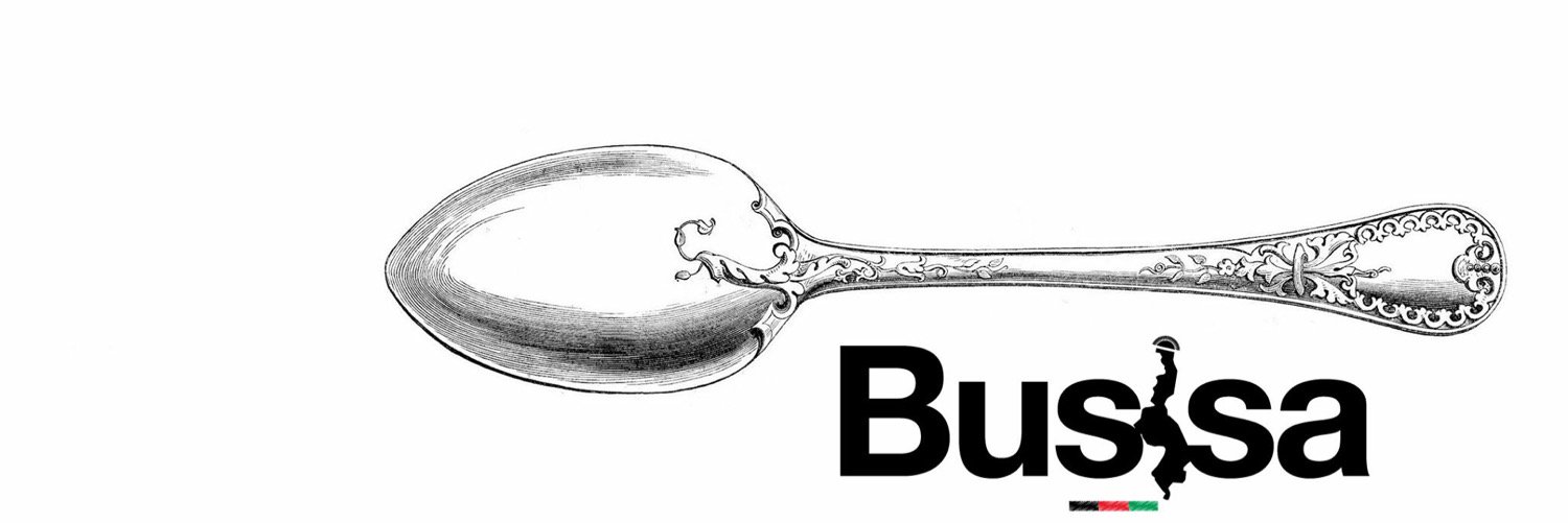 Busisa_org's profile banner image