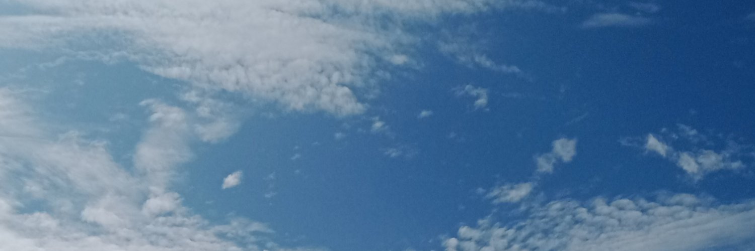 Mar banner