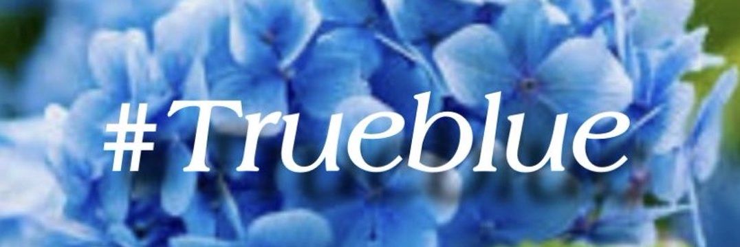The Snarky Lib banner