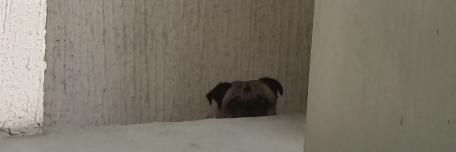 Los Dibujiitos de una Persona Random banner