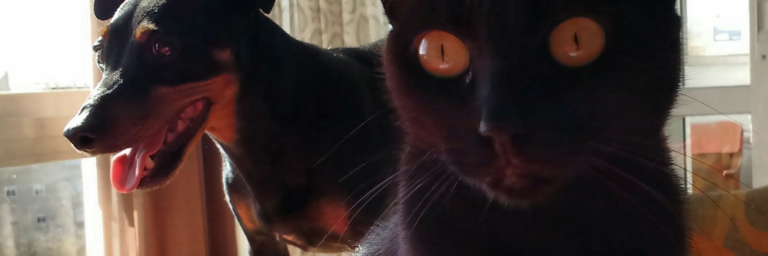 angeloxo's profile banner image