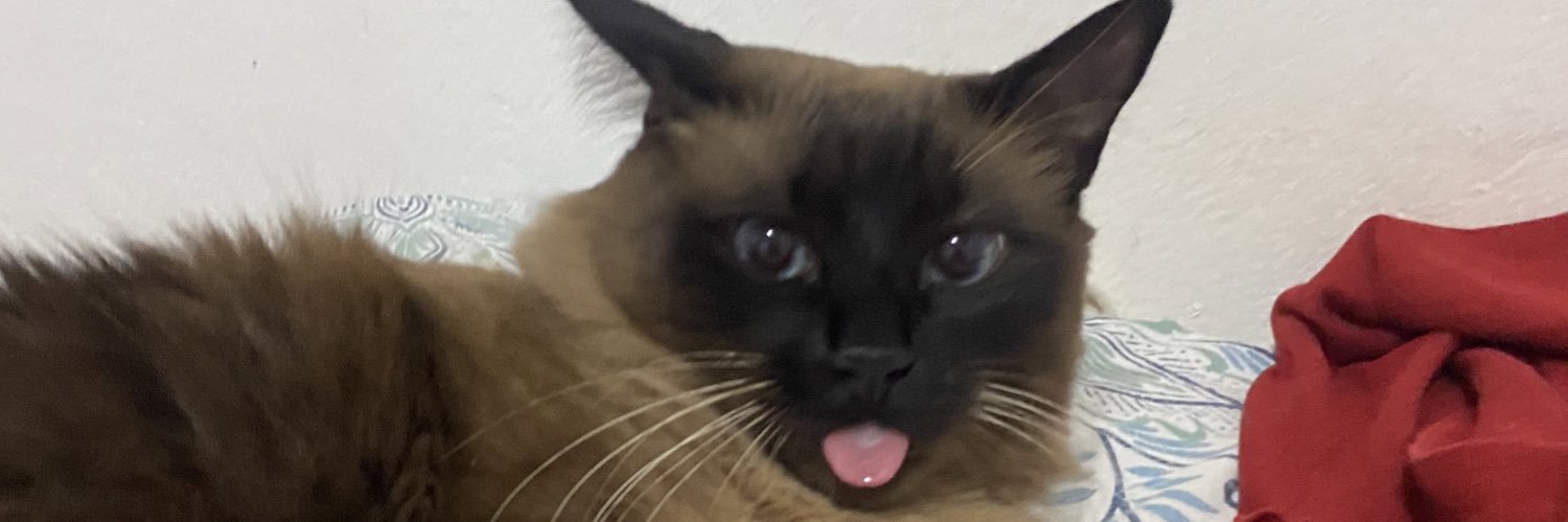 carolinnetheodo's profile banner image