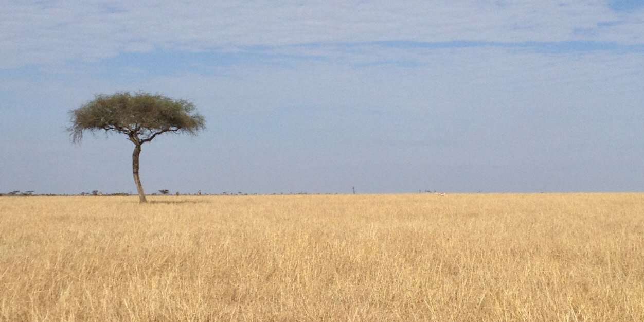 cbsett's profile banner image
