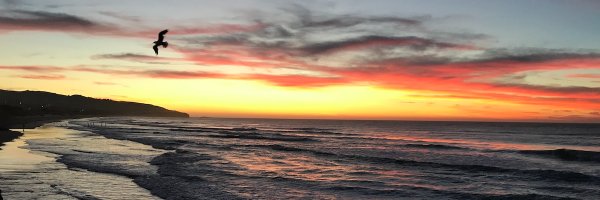 pbright Profile Banner