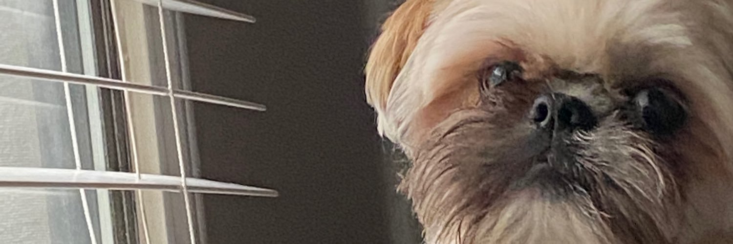 Carrera13's profile banner image