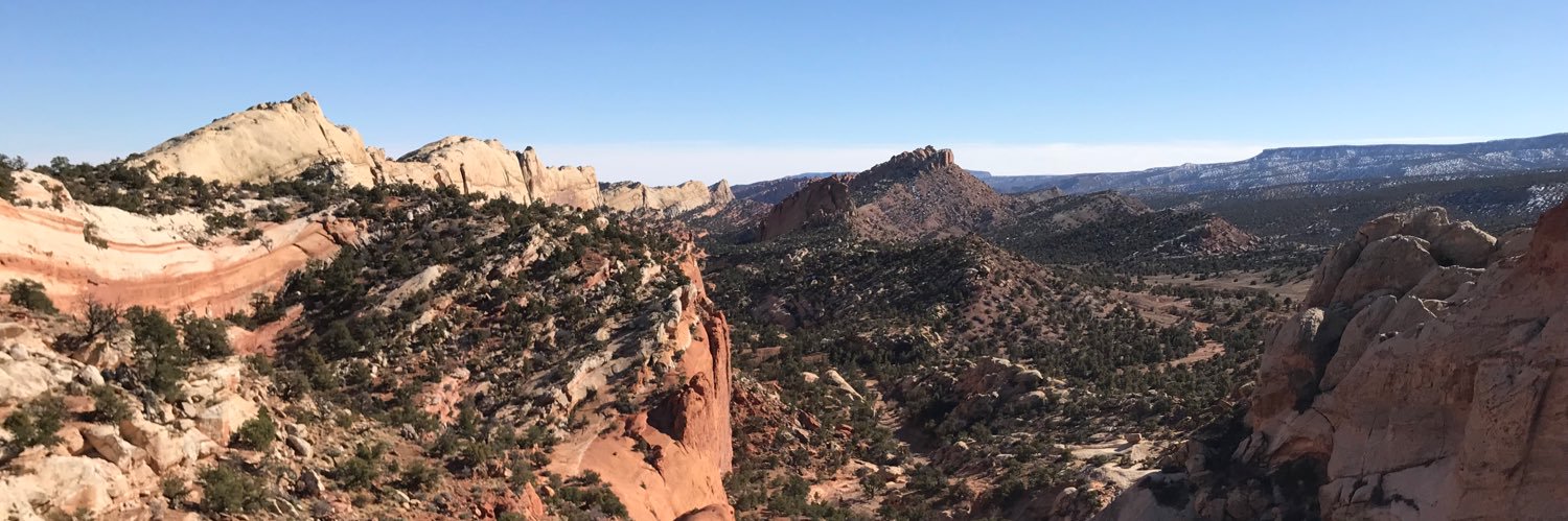 CarterTheGrreat's profile banner image