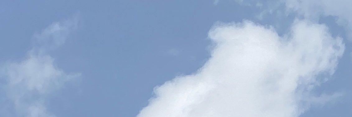 fenchick's profile banner image