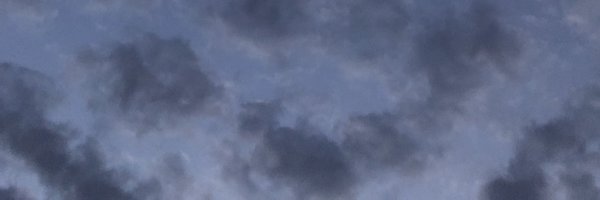 TheWhiteWolfOf Profile Banner