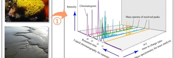 ProspecTER Project banner