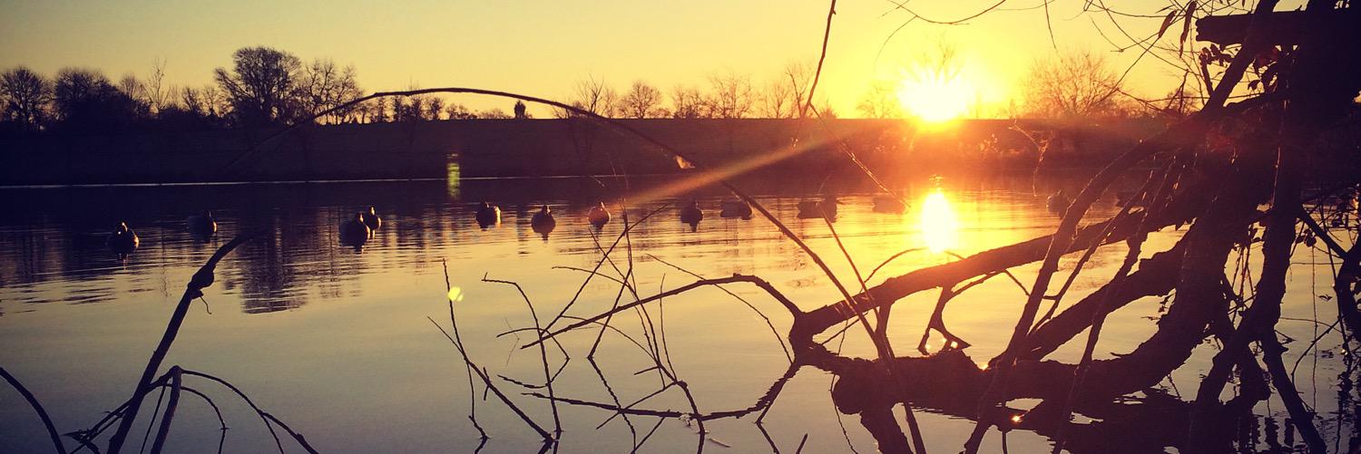 DeepSouthHuntin's profile banner image