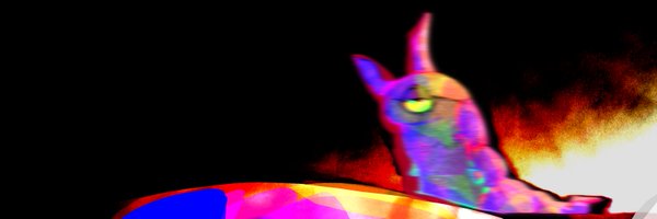 SpideFox Profile Banner