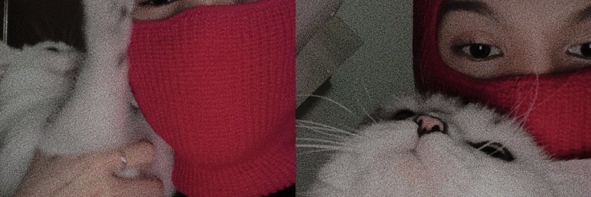 7days banner