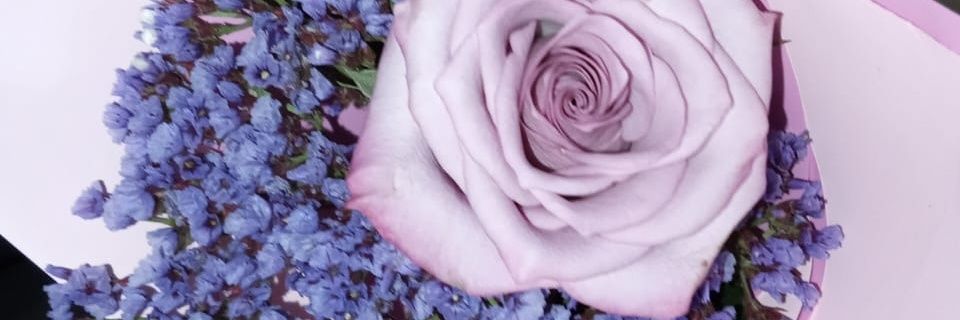 _Bettzi's profile banner image