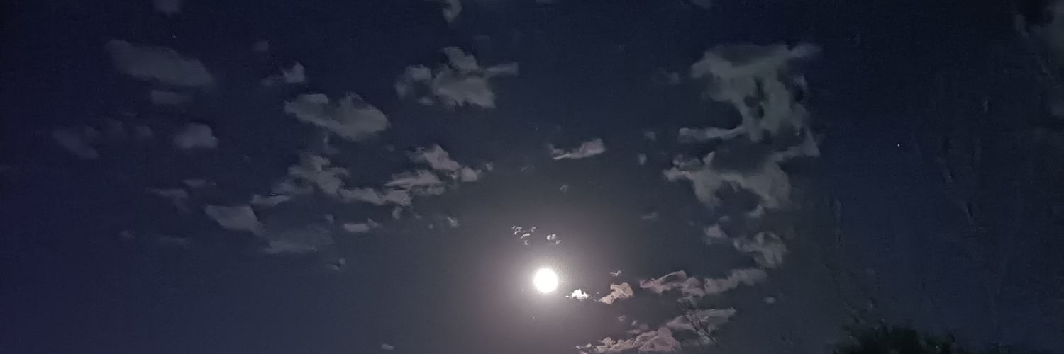 小黄盆 banner