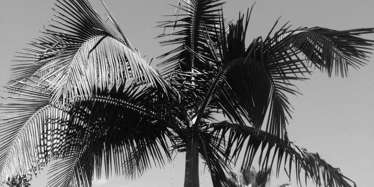 barrievice's profile banner image