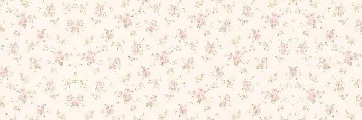 🪽˳ banner