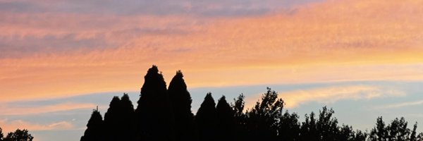 hannahhthomp1 Profile Banner