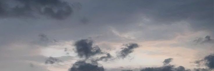 laelll ²⁶ | free tag 🪼 banner