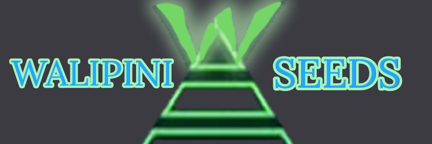 Walipini Seedbank Profile Banner