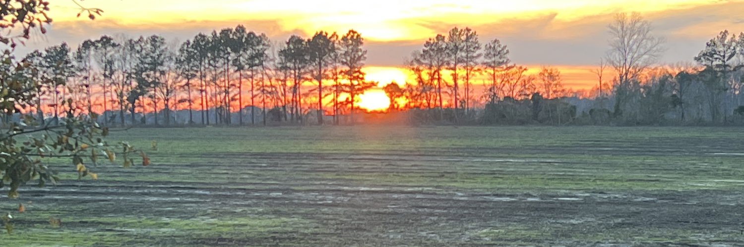 SouthernGuy912's profile banner image
