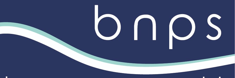 Bournemouth News and Picture Service banner