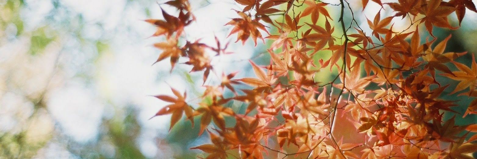 tateyamaaaa's profile banner image