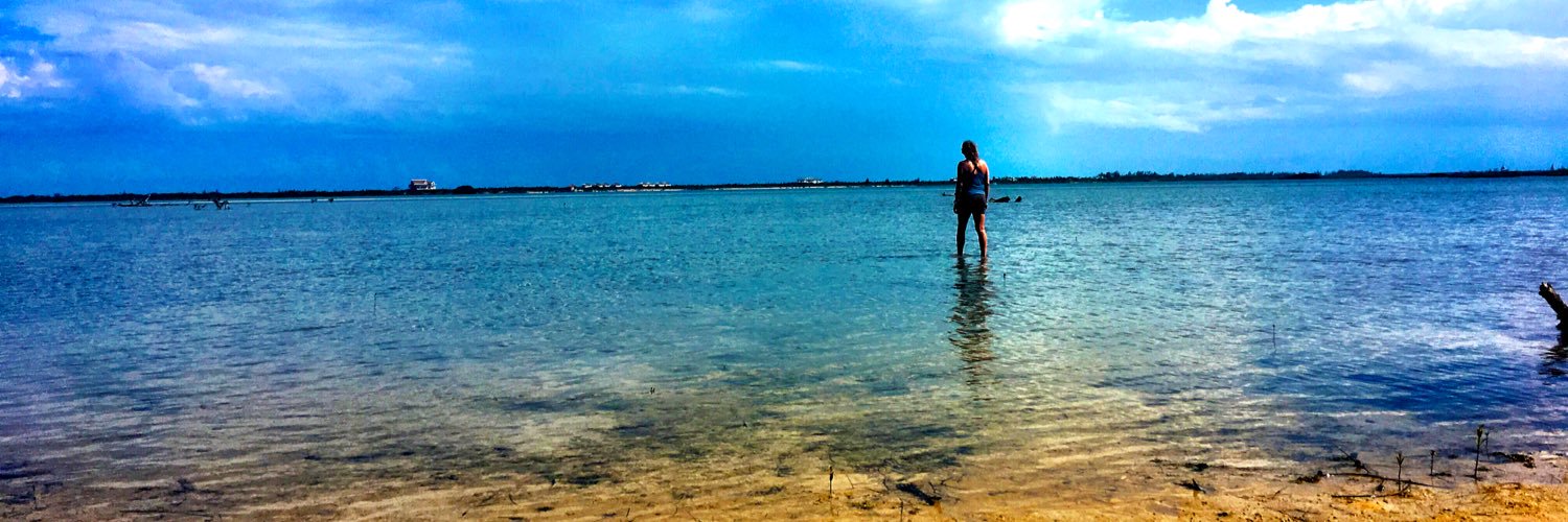 VT Shorebird Program banner