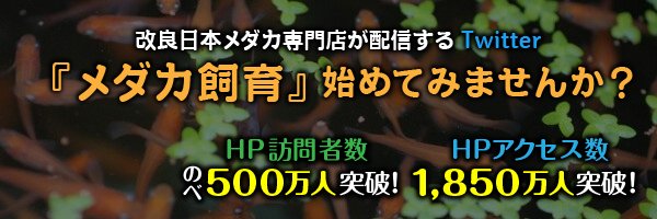 oitamedakabiyor's profile banner image