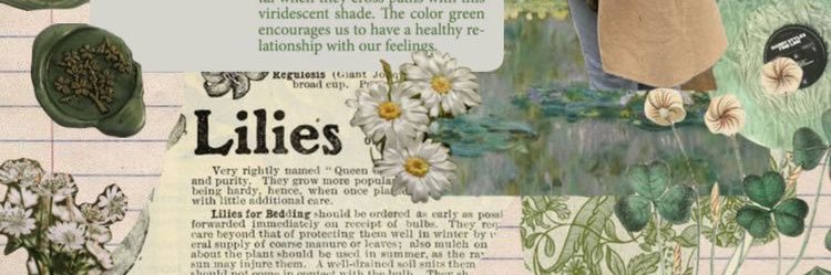 ✧ 𝓵𝓷𝓱 ✧ banner