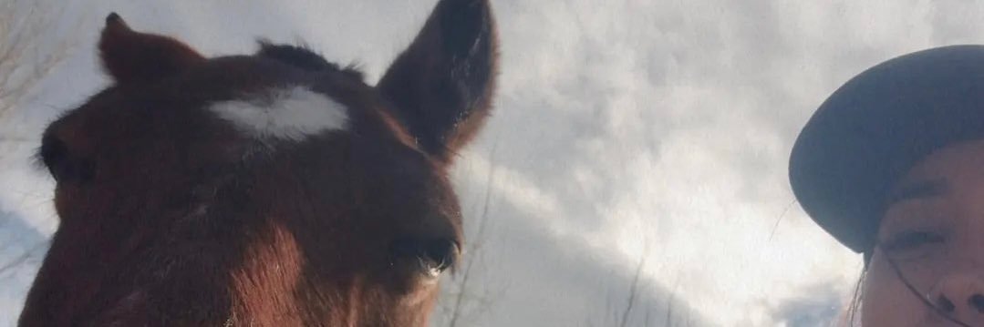 Julilara2's profile banner image