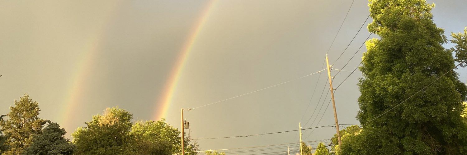 livi_schmid's profile banner image